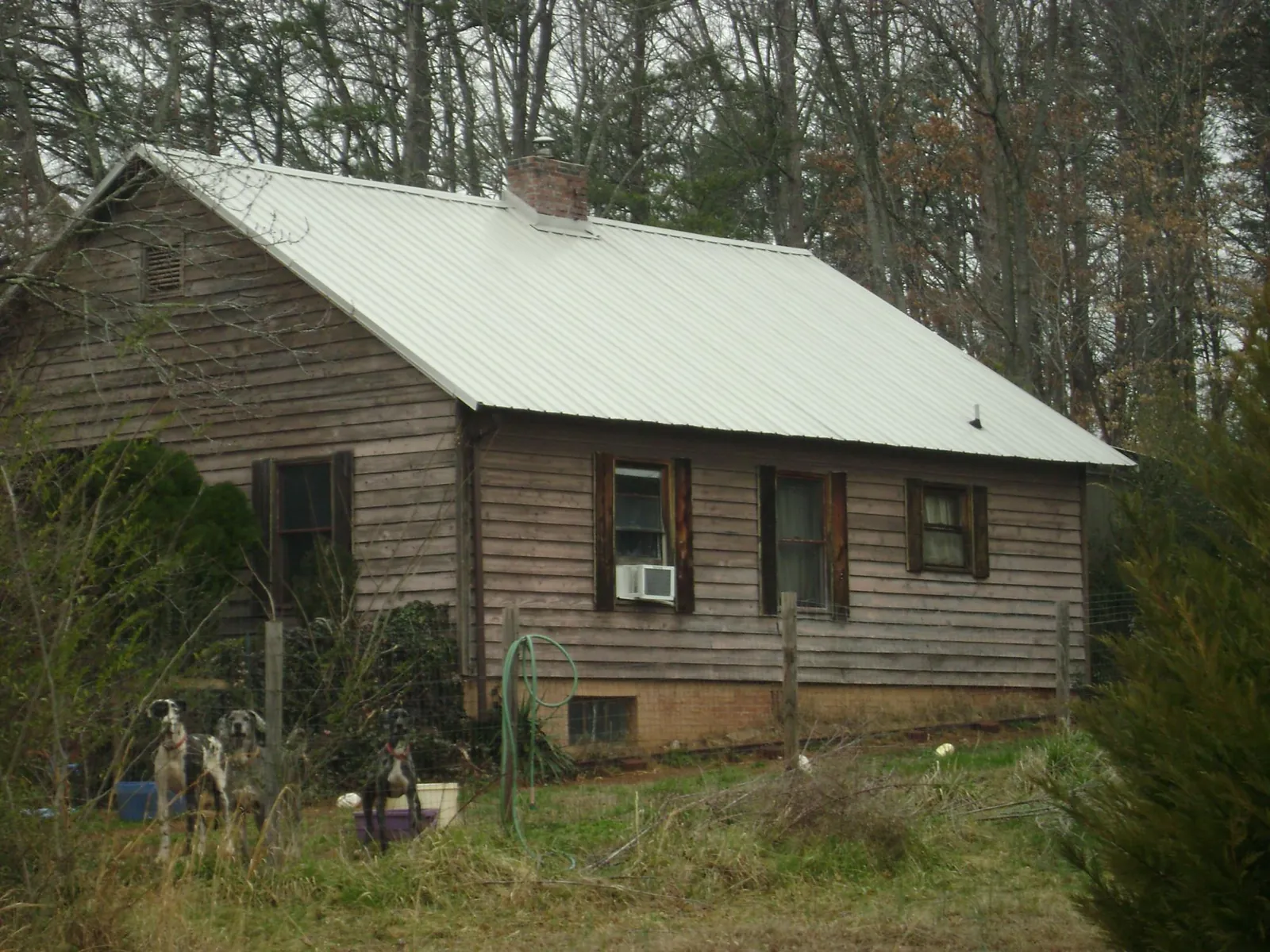 White metal roof on an old wood sided farmhouse, from a Asphalt Shingle Roof Repair job in Belle Haven